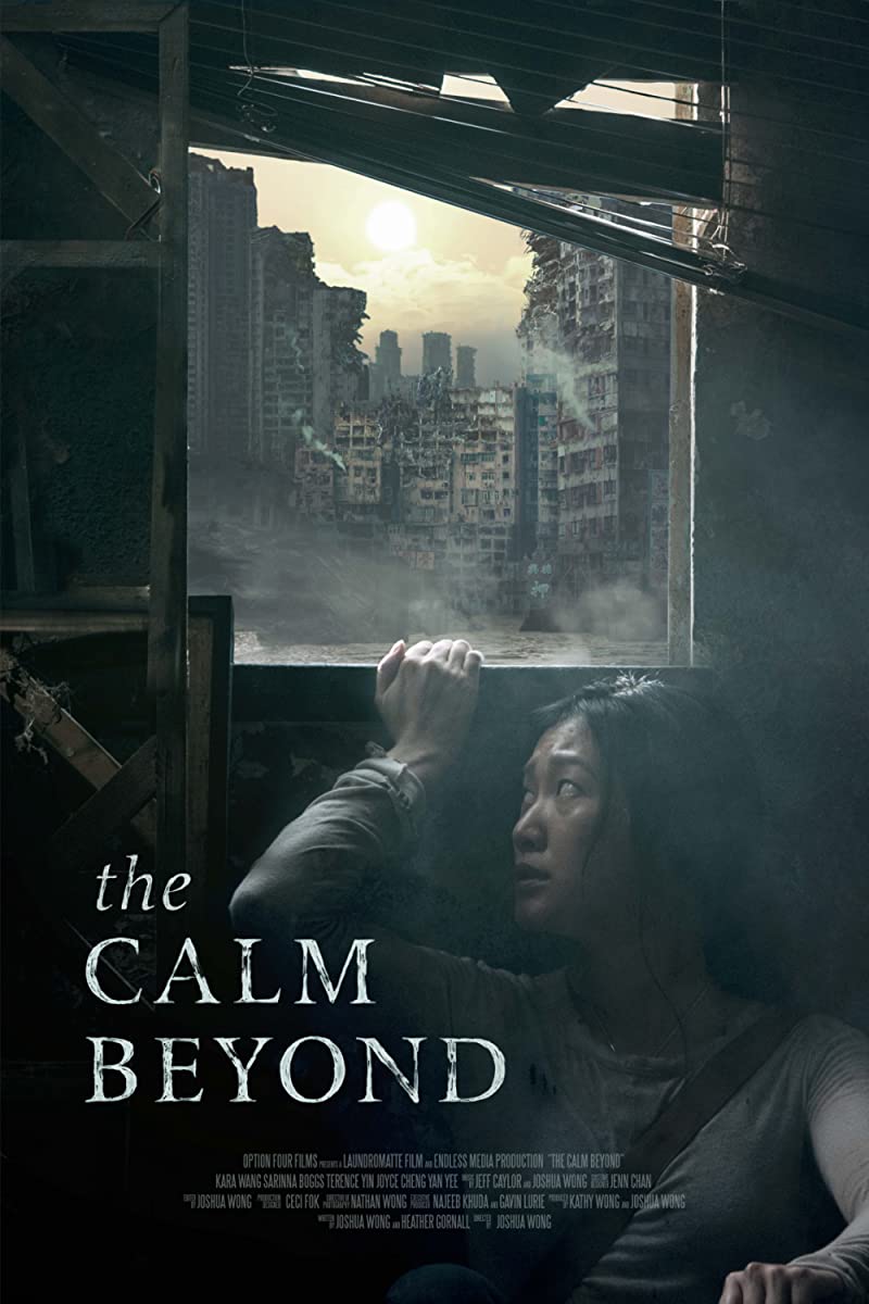 مشاهدة فيلم The Calm Beyond 2020 مترجم